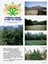 Page: - 53 | High Times