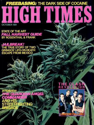 OCTOBER 1981 | High Times
