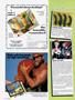 Page: - 12 | High Times