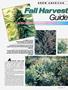 Page: - 49 | High Times