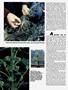 Page: - 50 | High Times