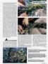 Page: - 51 | High Times