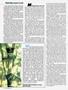 Page: - 52 | High Times