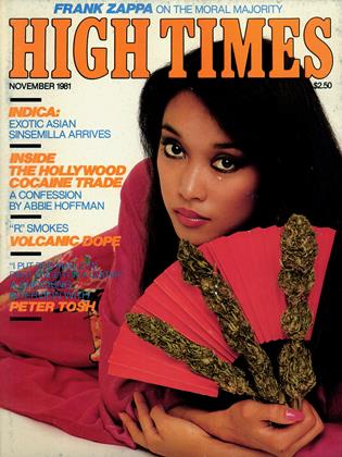NOVEMBER 1981 | High Times