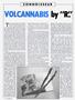 Page: - 16 | High Times