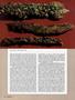 Page: - 62 | High Times