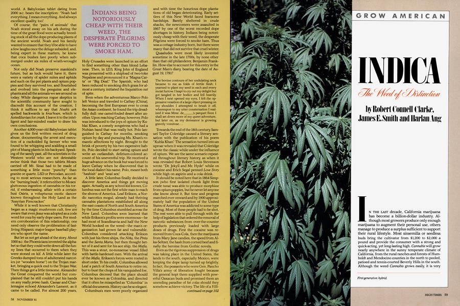 INDICA The Weed of Distinction