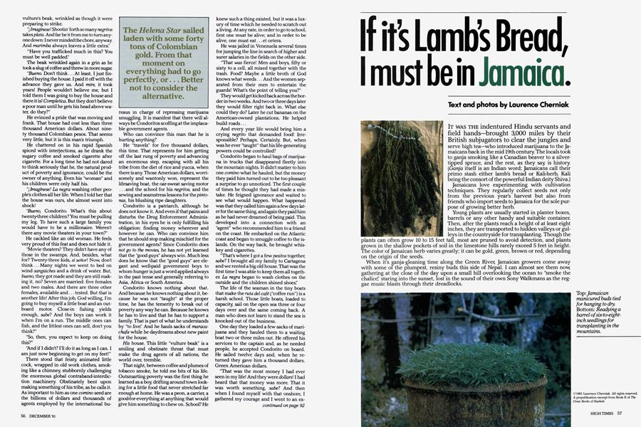 If it’s Lamb’s Bread, I must be in Jamaica.