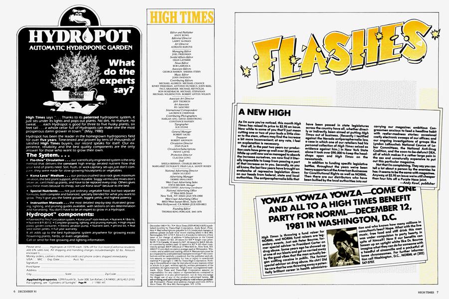 FLASHES