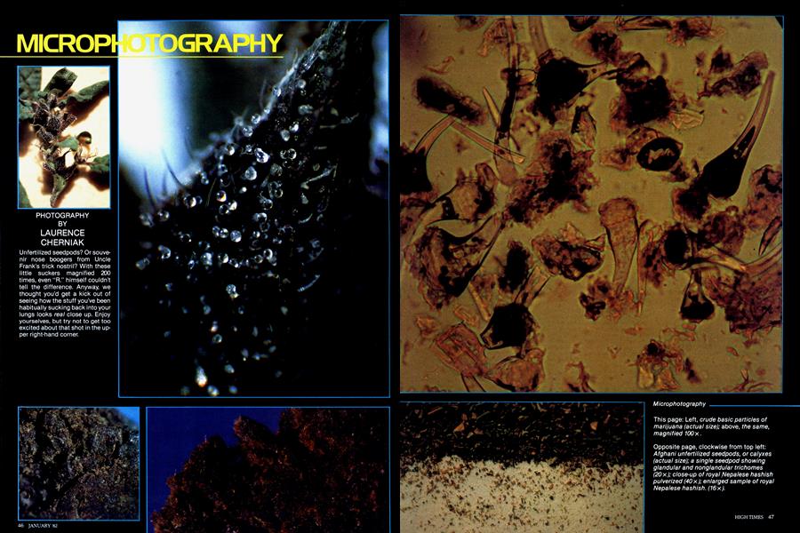 MICROPHOTOGRAPHY