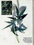 Page: - 62 | High Times