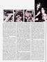 Page: - 43 | High Times