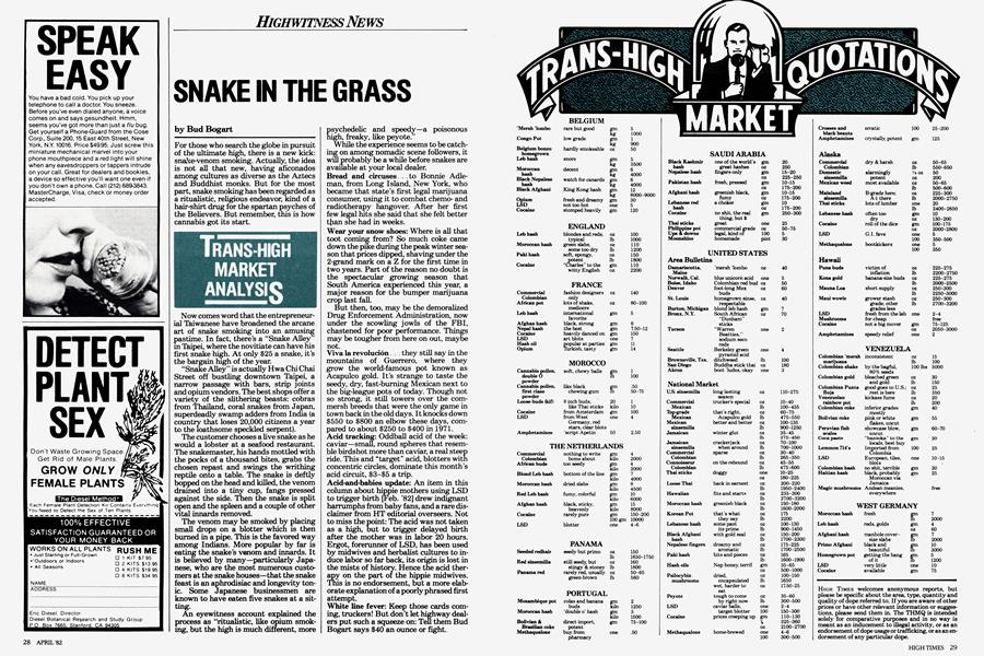 SNAKE IN THE GRASS