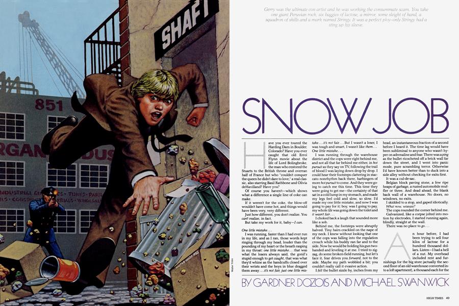SNOW JOB
