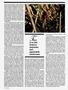 Page: - 70 | High Times
