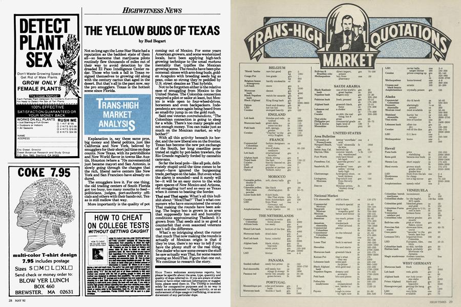 THE YELLOW BUDS OF TEXAS