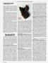Page: - 52 | High Times
