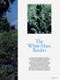 Page: - 49 | High Times