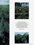 Page: - 53 | High Times
