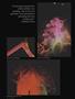 Page: - 98 | High Times