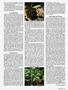 Page: - 53 | High Times