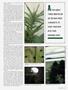 Page: - 55 | High Times