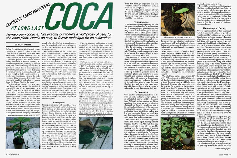 AT LONG LAST COCA