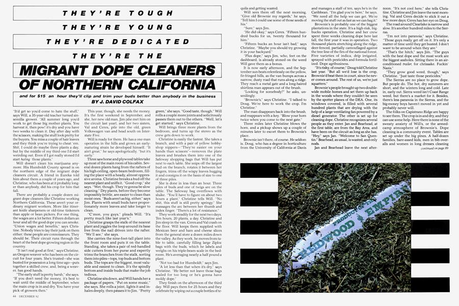 THEY’RE TOUGH THEY’RE YOUNG THEY’RE DEDICATED THEY’RE THE MIGRANT DOPE CLEANERS OF NORTHERN CALIFORNIA