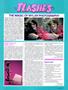 Page: - 9 | High Times