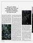 Page: - 62 | High Times