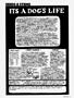 Page: - 71 | High Times