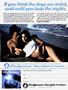 Page: - 99 | High Times
