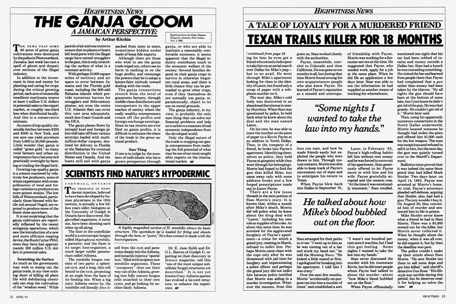 THE GANJA GLOOM