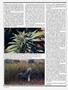 Page: - 64 | High Times
