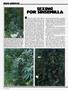 Page: - 64 | High Times