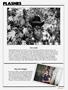 Page: - 9 | High Times