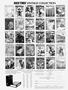 Page: - 4 | High Times