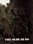 Page: - 51 | High Times
