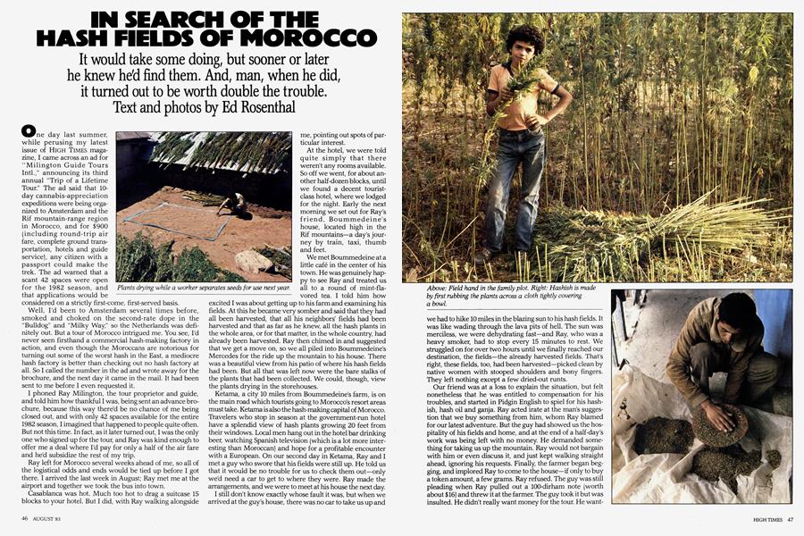 IN SEARCH OF THE HASH FIELDS OF MOROCCO