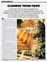 Page: - 52 | High Times