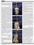 Page: - 54 | High Times
