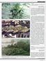 Page: - 55 | High Times