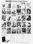 Page: - 83 | High Times