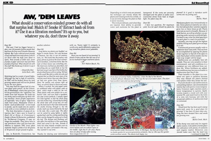 AW, 'DEM LEAVES