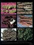 Page: - 39 | High Times