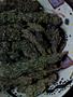 Page: - 51 | High Times