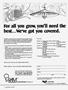 Page: - 13 | High Times