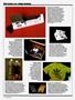 Page: - 32 | High Times