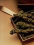Page: - 50 | High Times