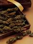 Page: - 51 | High Times